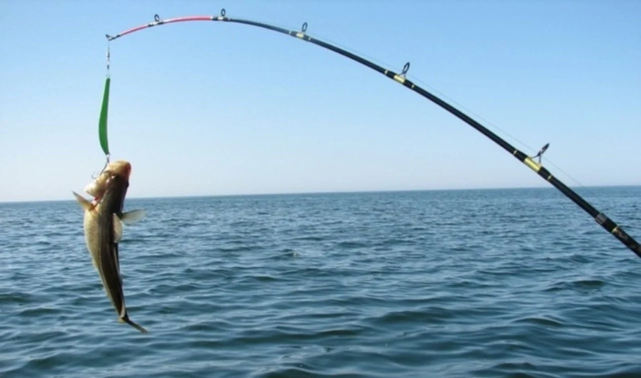 Рыбалка в Красном море (6)