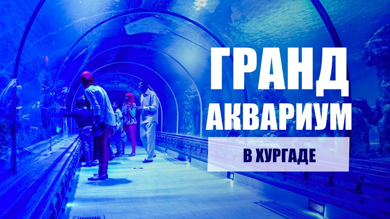 Аквариум Хургада (4)